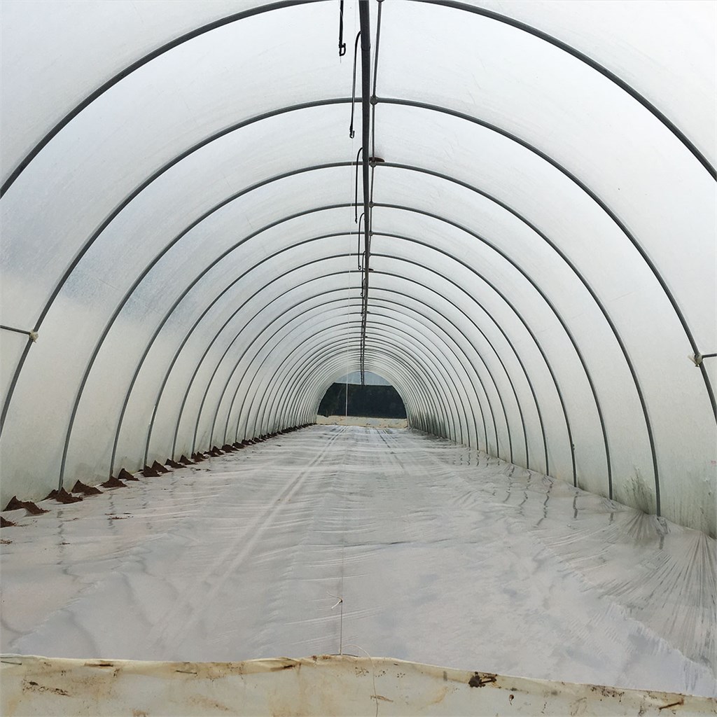 FILM PE LONG LIFE 0,20 MT. 12 X 50  BOBINA